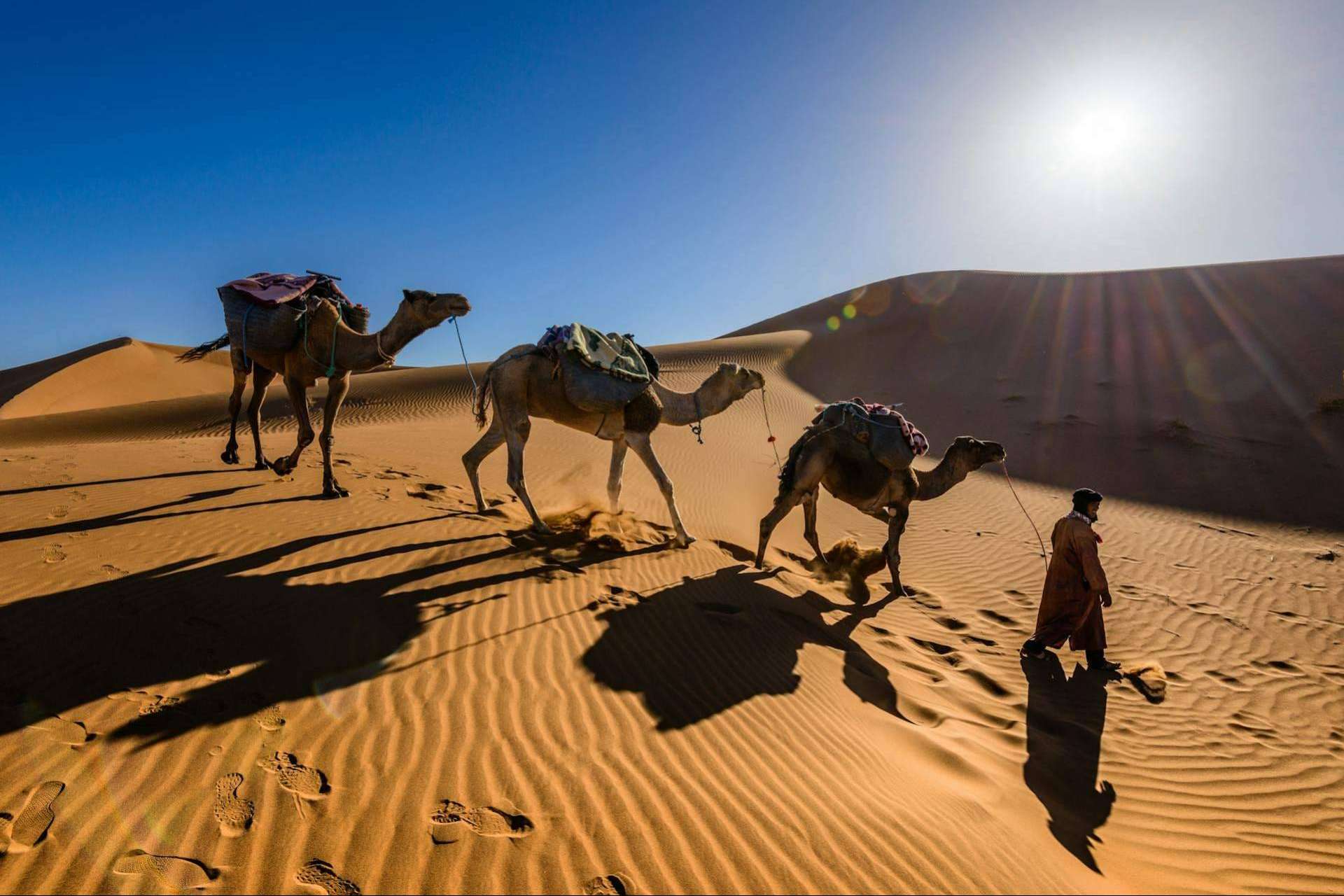 Experience the Magic of Morocco with the Best Desert Tours and Day Trips from Marrakech