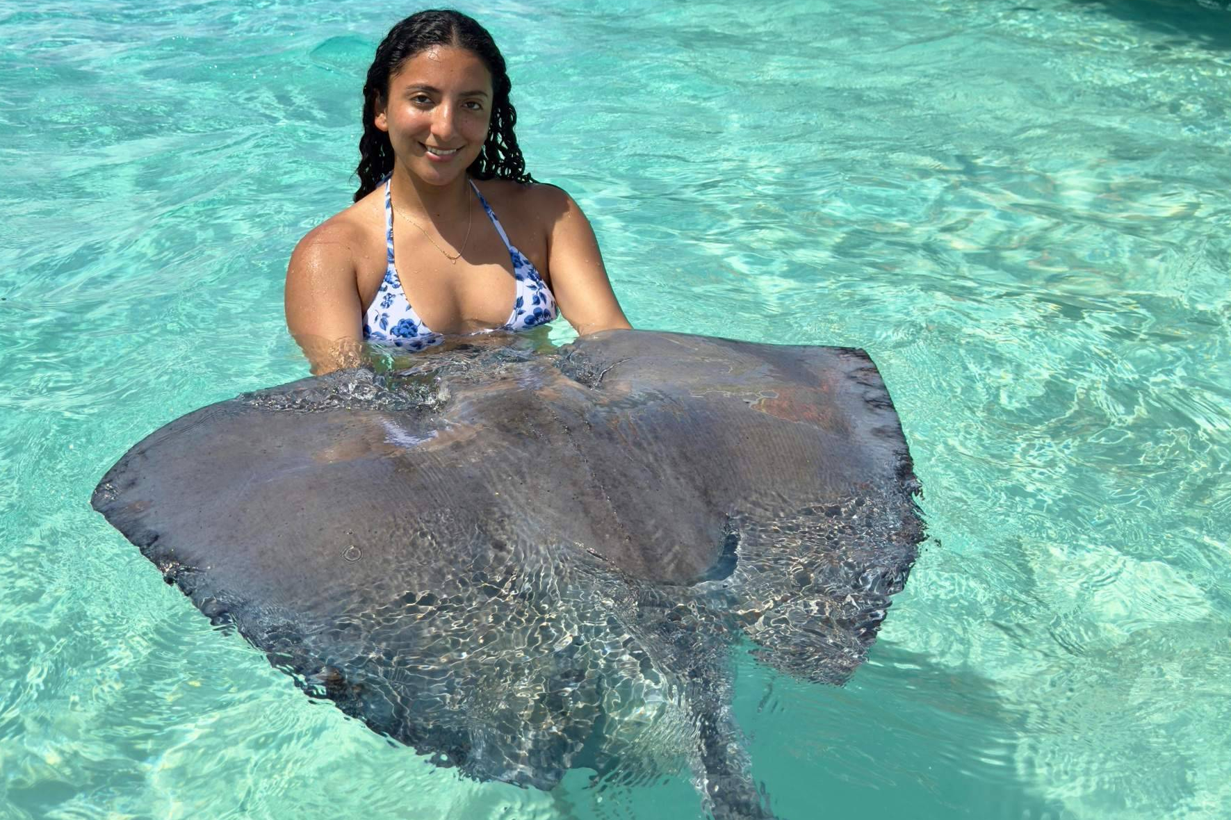 Boat tours to Stingraycity with Cayman Ocean Adventures